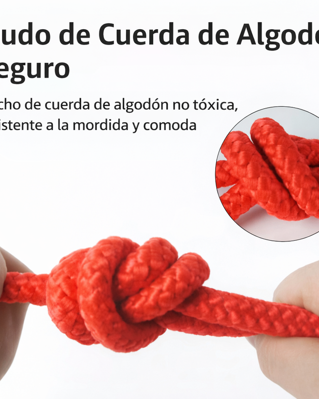 Juguete Con Pelota Caucho