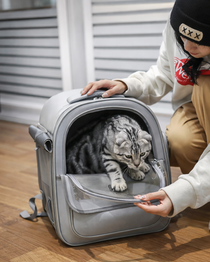 Mochila de transporte