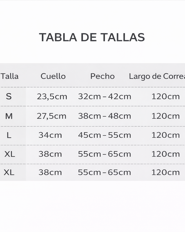 Conjunto de arnés y correa