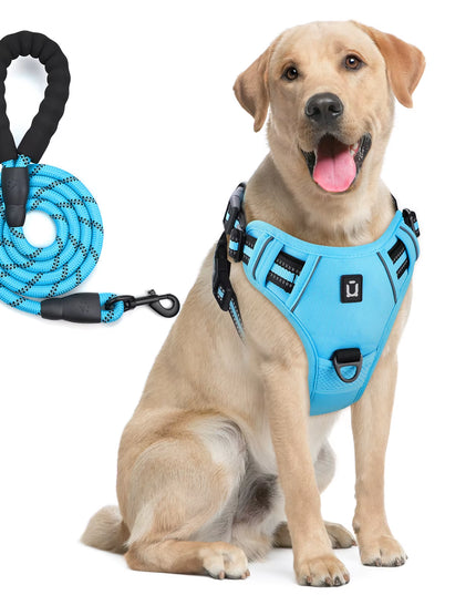 Combo De Arnés Y Correa Para Perros, Arnés De Chaleco Sin Tracción a Prueba De Escape, Con Correa De 5 Pies, Arnés Acolchado Suave Ajustable Reflectante Para Mascotas