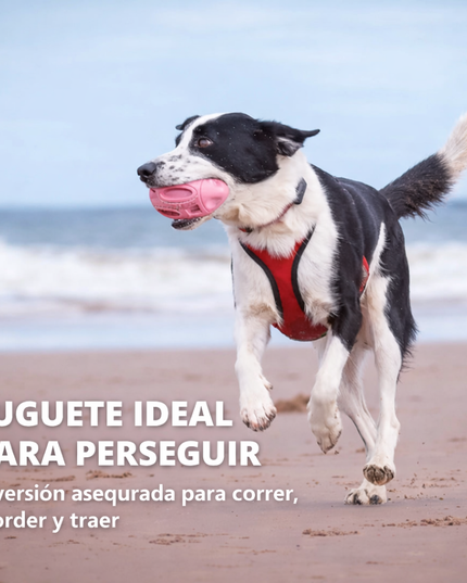 Pelota Chirriante Indestructible