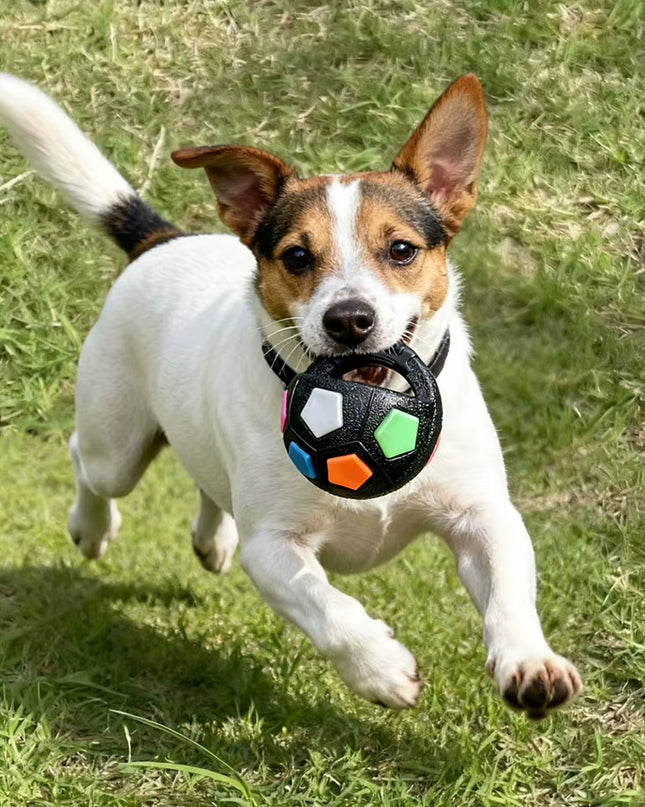 Pelota De Tenis De Fútbol De Goma Resistente, Juguetes Duraderos Para Perros Y Mascotas, Alivio De La Dentición Para Acompañar Juguetes Para Adiestramiento Al Aire Libre, 1 Ud.