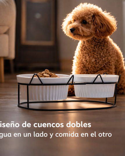 Cuencos dobles elevados ceramica