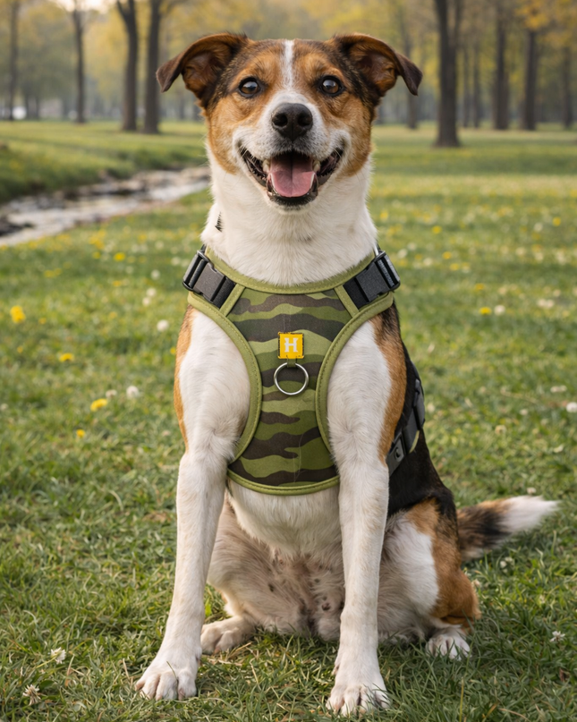 Arnés Reflectante Ajustable