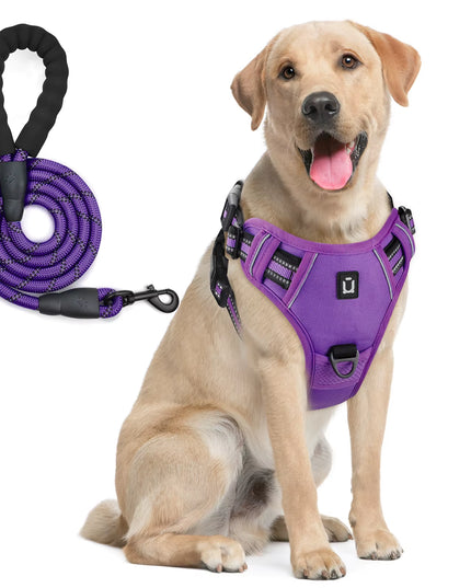 Combo De Arnés Y Correa Para Perros, Arnés De Chaleco Sin Tracción a Prueba De Escape, Con Correa De 5 Pies, Arnés Acolchado Suave Ajustable Reflectante Para Mascotas