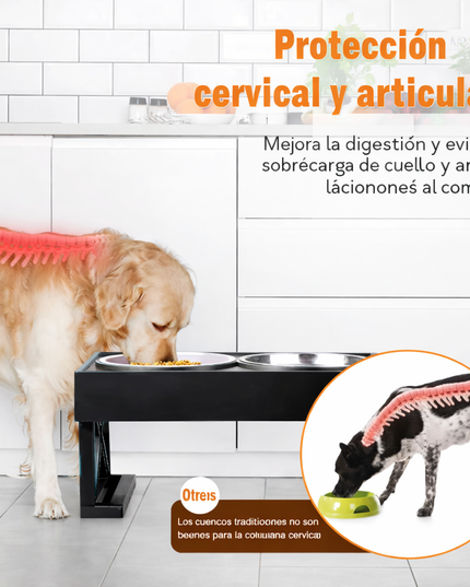 Cuencos dobles elevados ajustables