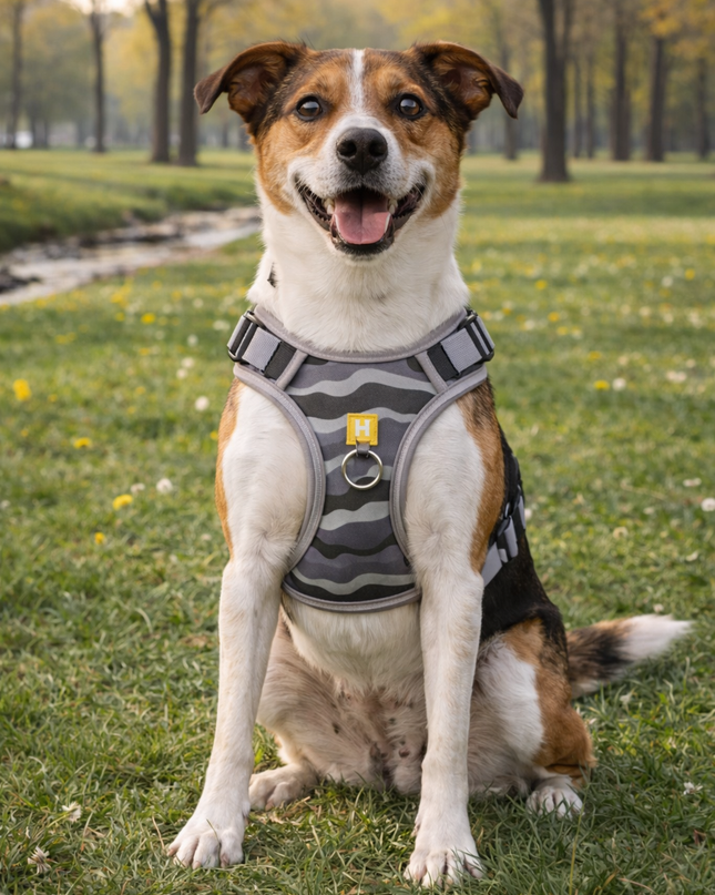 Arnés Reflectante Ajustable