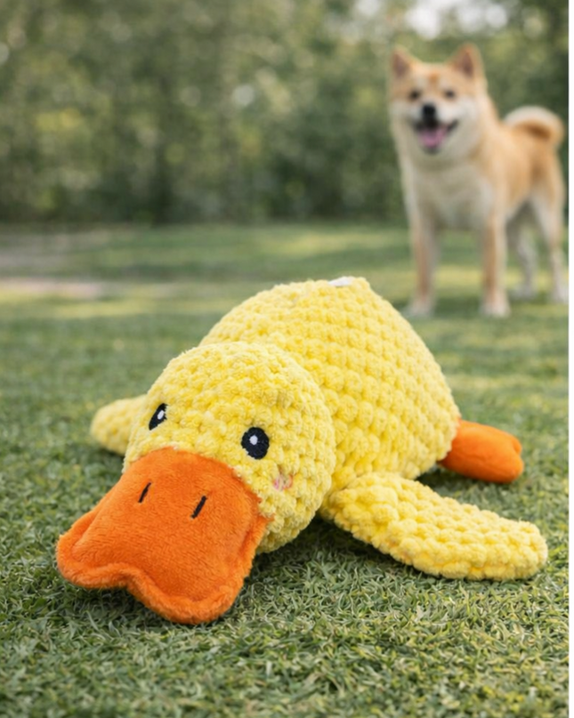 Juguete Dental Interactivo