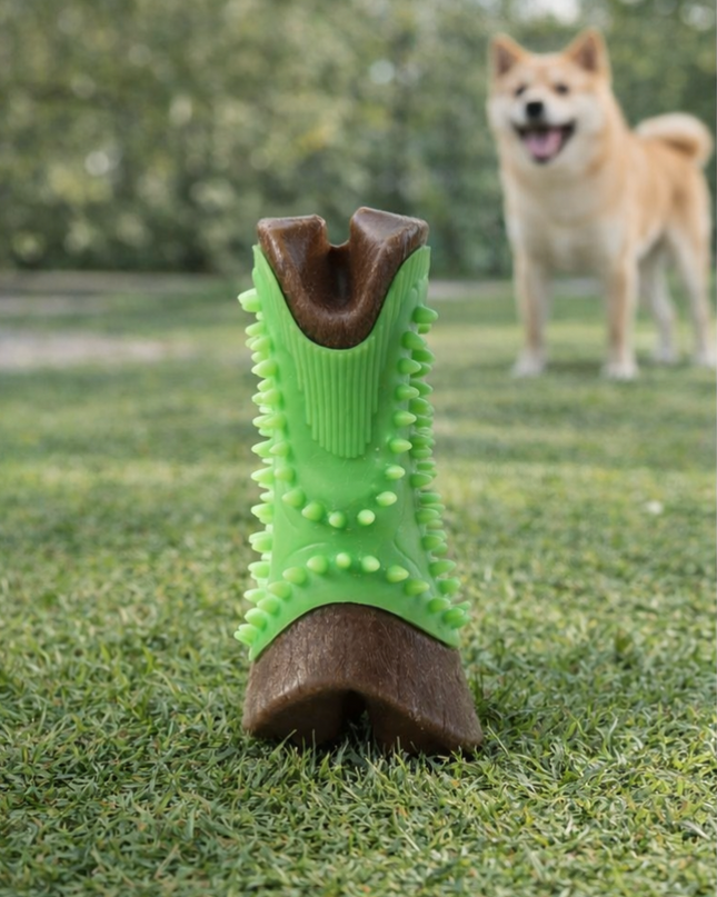 Juguete Dental Resistente