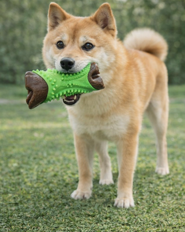 Juguete Dental Resistente