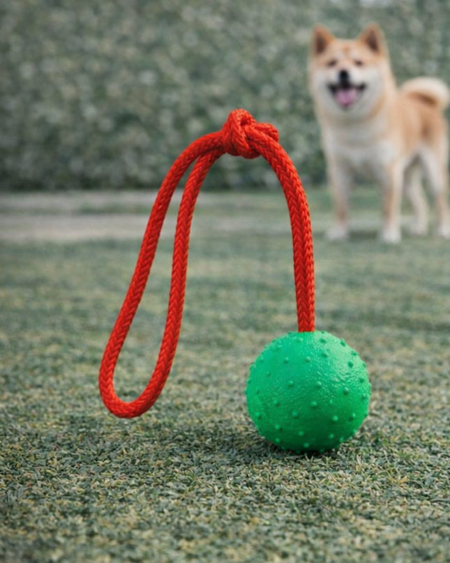 Juguete Con Pelota Caucho