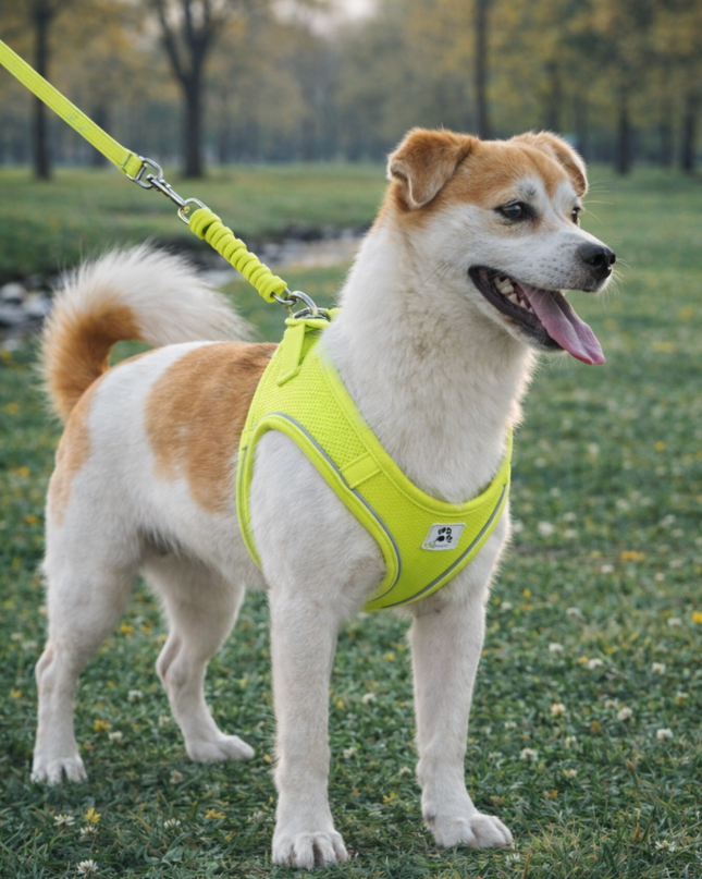 Arnés Transpirable Reflectante con Correa Ajustable