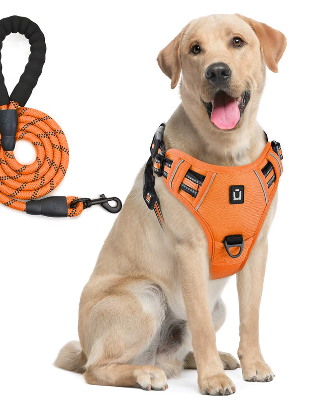 Combo De Arnés Y Correa Para Perros, Arnés De Chaleco Sin Tracción a Prueba De Escape, Con Correa De 5 Pies, Arnés Acolchado Suave Ajustable Reflectante Para Mascotas