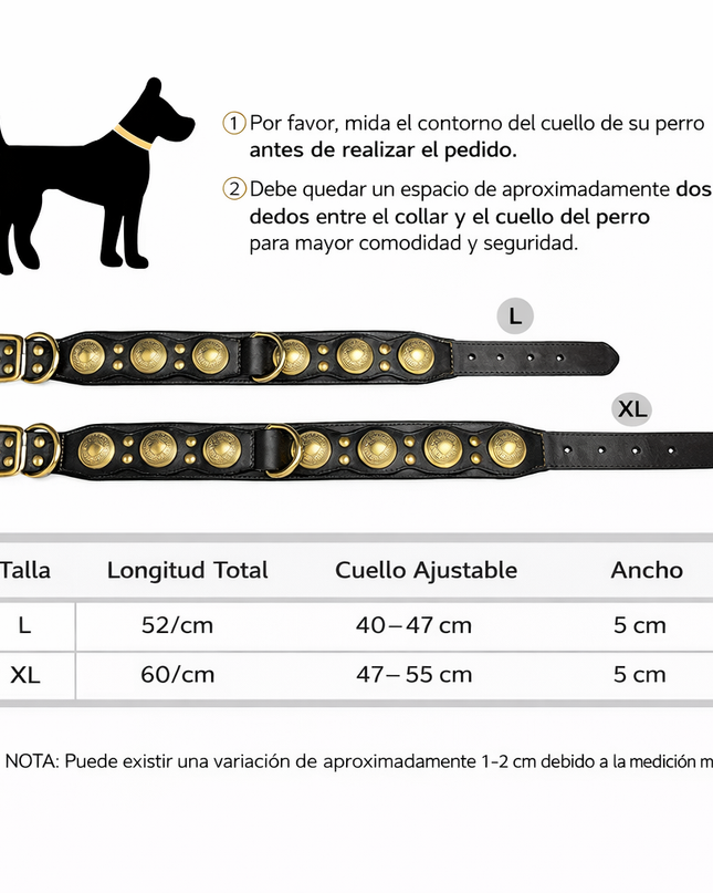 Collar de Cuero Con Medallas