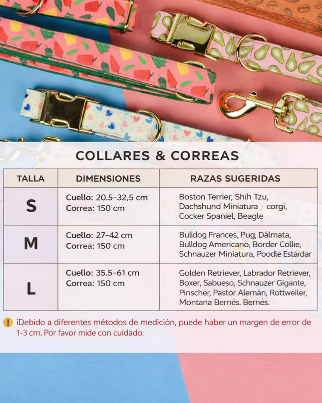 Conjunto Premium de Collar y Correa