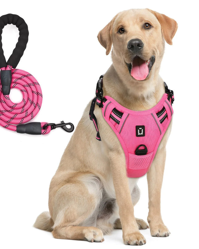 Combo De Arnés Y Correa Para Perros, Arnés De Chaleco Sin Tracción a Prueba De Escape, Con Correa De 5 Pies, Arnés Acolchado Suave Ajustable Reflectante Para Mascotas