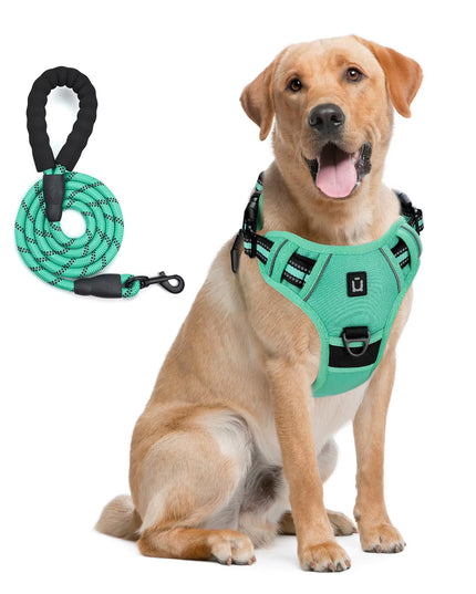 Combo De Arnés Y Correa Para Perros, Arnés De Chaleco Sin Tracción a Prueba De Escape, Con Correa De 5 Pies, Arnés Acolchado Suave Ajustable Reflectante Para Mascotas