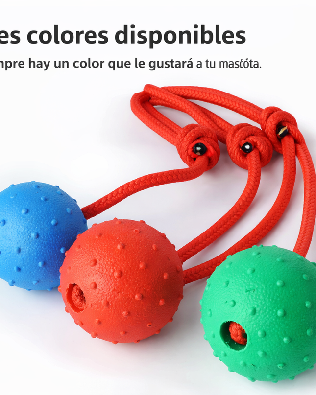 Juguete Con Pelota Caucho